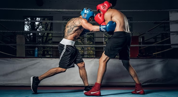 Bokserzy z Jaskini Lwa skrzyżują rękawice w Szwajcarii