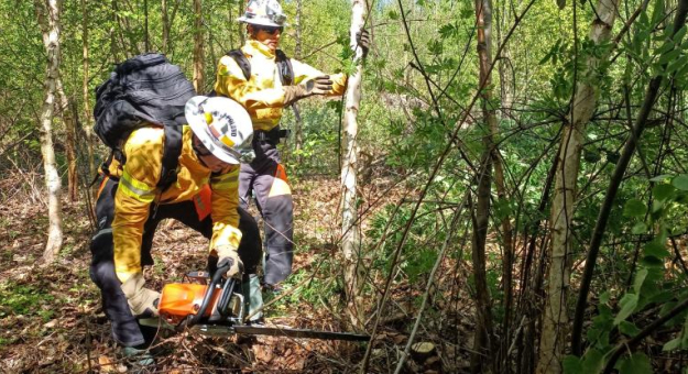 Drugi dzień ćwiczeń GFFF Poland. Strażacy przygotowują się do walki z pożarami lasów