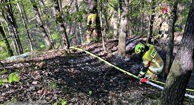 Pożar w Bardzie. Ogień strawił ponad pół hektara lasu