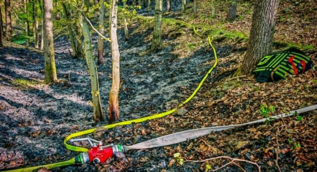 Pożar w Bardzie. Ogień strawił ponad pół hektara lasu