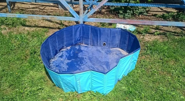 Tak wygląda basenik, do którego – według zgłoszenia – wlano środek chemiczny. Sprawą zajmuje się policja