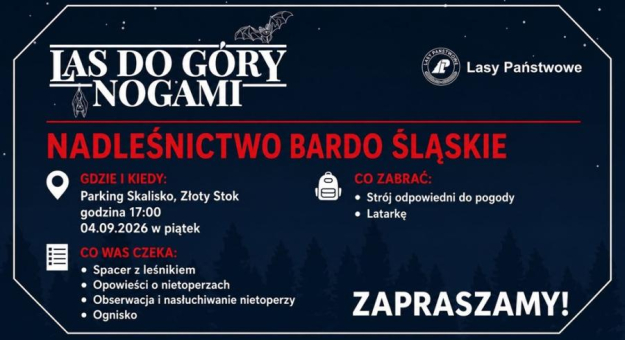 Wieczorny spacer z leśnikiem w Złotym Stoku