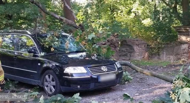 Konar drzewa spadł na samochód osobowy
