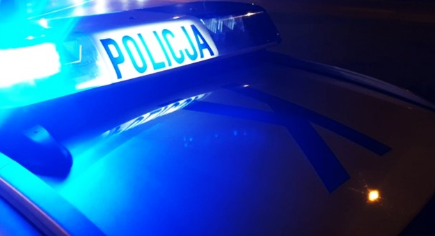 Nocne „grzybobranie” z policyjnym finałem i zarzutami
