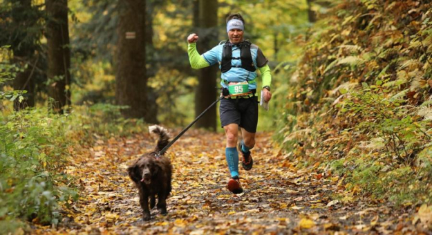 Finał Pucharu Polski w Dogtrekkingu w Złotym Stoku