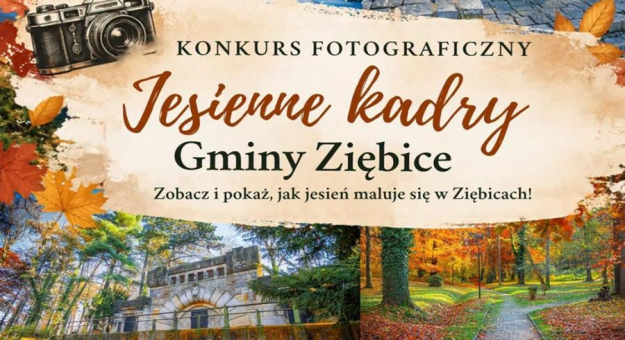 grafika ilustracyjna